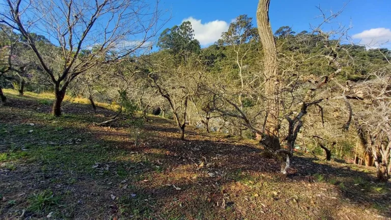 Imagem Propriedade em Nova Friburgo com 23.000m2.