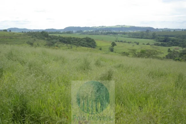 Imagem Fazenda em Cajuru 72 alqueires com soja, gado, braquiária e estrutura, 75 km de Ribeirão Preto - SP