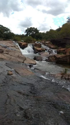 Imagem FAZENDA A VENDA EM ORIZONA-GO
