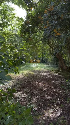 Imagem Terreno com 3 Dormitorio(s) localizado(a) no bairro Amaral Ribeiro em Sapiranga / RIO GRANDE DO SUL Ref.:1522