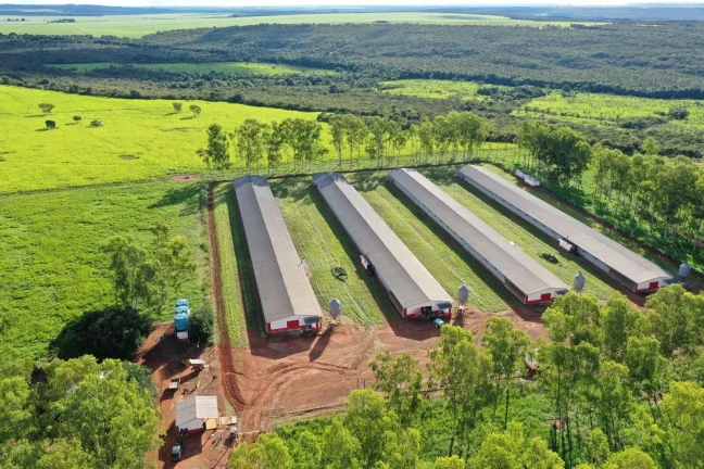 Imagem FAZENDA COM GRANJA DE FRANGOS DE CORTES EM MUTUM MATO GROSSO