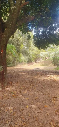 Imagem CHÁCARA A VENDA EM JARINÚ