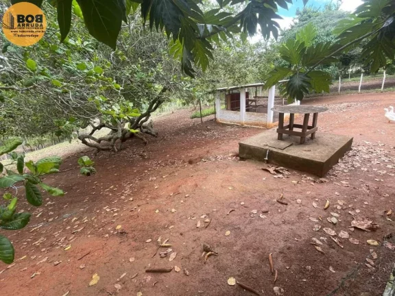 Imagem Terreno Padrão