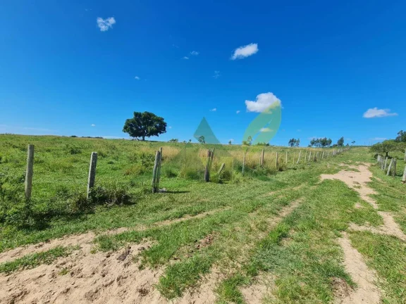 Imagem FAZENDA PEROBAS - OPORTUNIDADE ÚNICA DE INVESTIMENTO EM ARARUAMA/RJ