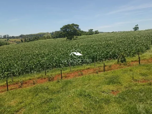 Imagem Sítio para Venda em Mandaguari / PR