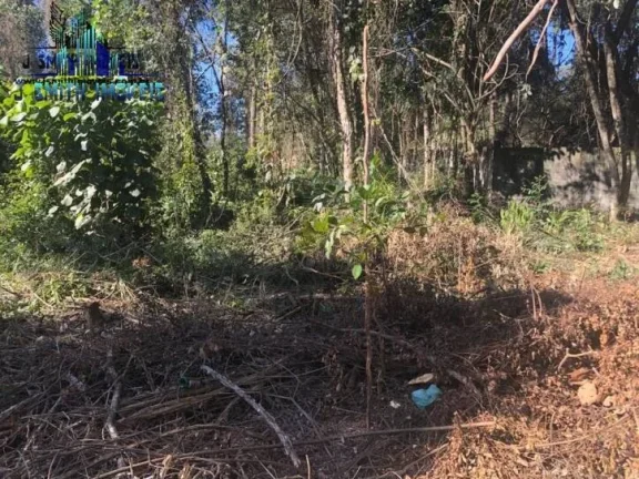 Imagem TERRENO 500 m² DENTRO DE CONDOMÍNIO FECHADO.

Área com 20 metros de frente, e com vegetação sec...