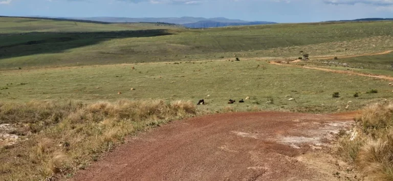 Imagem FAZENDA À VENDA EM DELFINÓPOLIS - MG COM 430 ALQUEIRES
