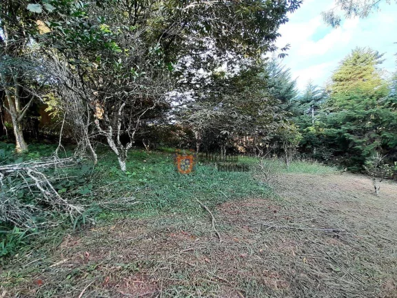 Imagem Terreno à venda, 700 m² por R$ 145.000,00 - Tenentes - Extrema/MG