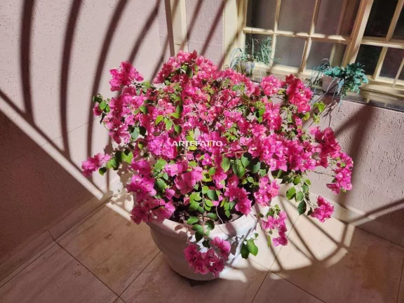 Imagem Casa à venda no Bairro Integração – Franca/SP