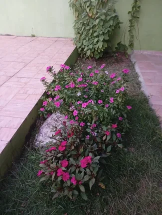 Imagem Casa para Venda em Itanhaém, Balneário Califórnia, 2 dormitórios, 2 suítes, 2 banheiros, 4 vagas