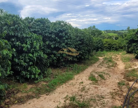 Imagem SITIO RURAL em MONTE MOR - SP, centro