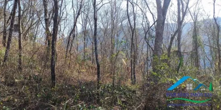 Imagem Espetacular Área Rural em Paraisópolis - Minas | 155 hectares