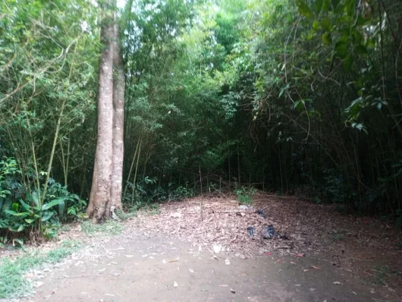 Imagem Área à venda, 1511450 m² por R$ 1.600.000,00 - Estância São Luís - Suzano/SP