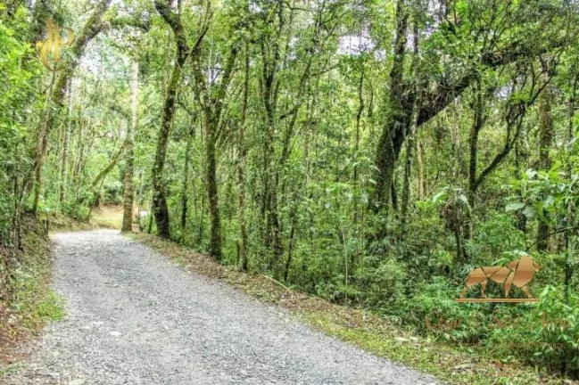 Imagem Terrenos Reserva Figueiredo apatir de R$850.000,00