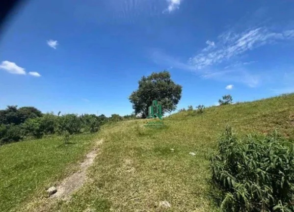 Imagem Terreno à venda, 12000 m² por R$ 12.720.000,00 - Parque Edu Chaves - São Paulo/SP