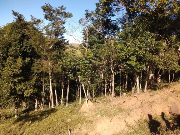 Imagem Fazenda à venda no bairro Macacos - Silveiras/SP