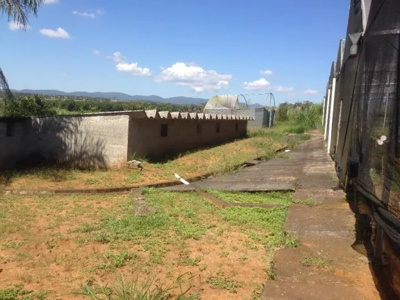 Imagem Sítio rural à venda, Jardim Nova Ipelândia, Suzano, 2000 metros da Rodovia Índio Tibiriçá.
