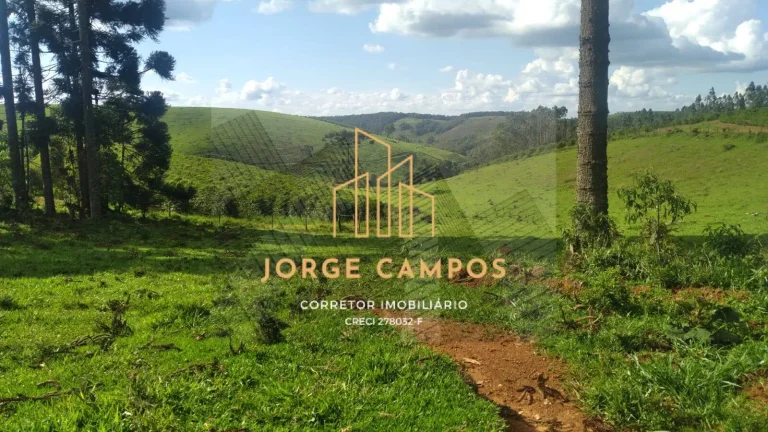 Imagem FA-25259 - FAZENDA À VENDA SUL DE MINAS GERAIS