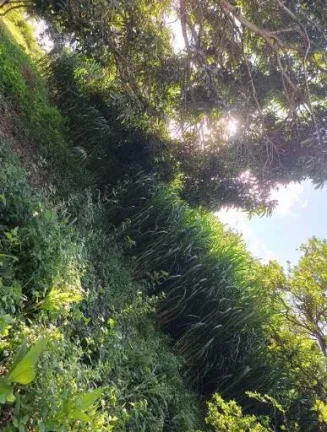 Imagem Sítio à Venda a 15 km de Luziânia!