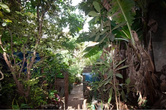 Imagem Casa com 3 Quartos à Venda, 154 m² em Bela Vista - São Paulo