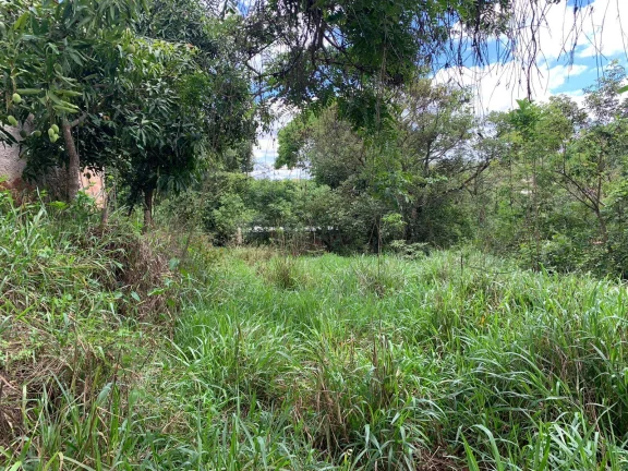 Imagem LOTE Á VENDA , EM JUATUBA!