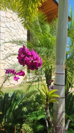 Imagem Casa alto padrão localizada em Praia do Forte condomínio com acesso ao mar Praia Bella.