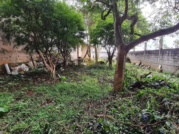 Imagem Terreno 500m2 plano e murado, Vila Amália - SP