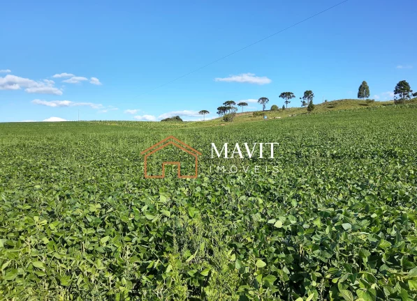 Imagem SITIO RURAL em CAPÃO ALTO - SC, Capão Alto