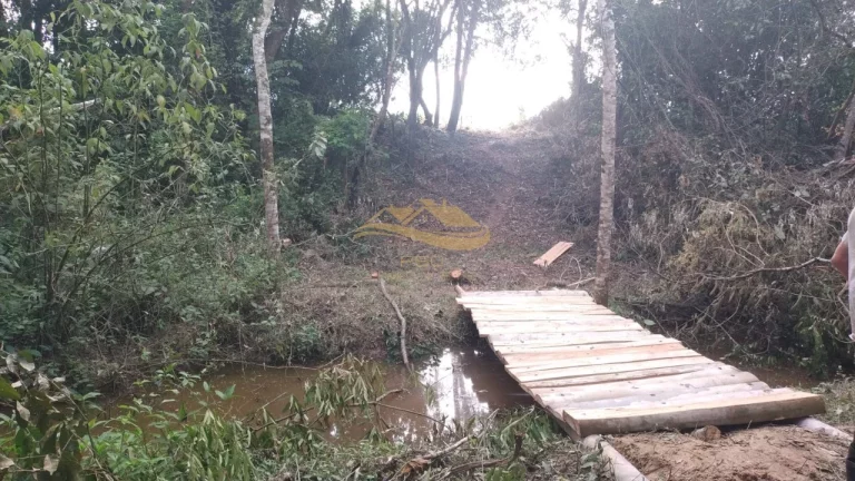 Imagem SITIO RURAL em ELIAS FAUSTO - SP, Centro