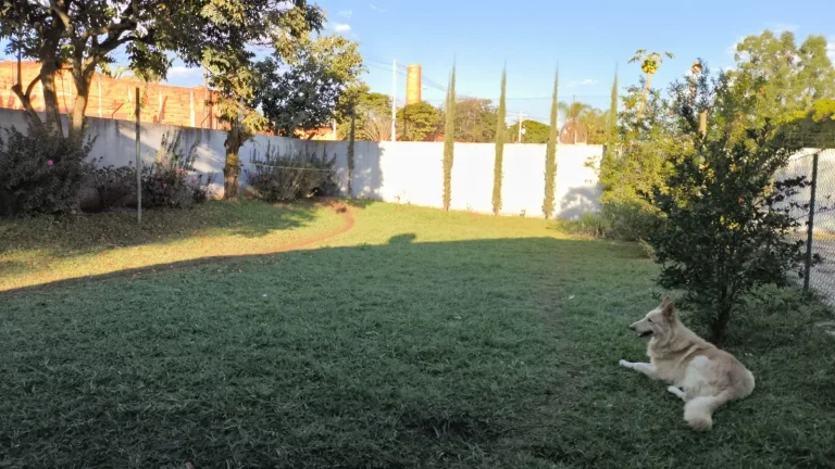 Imagem Chacara com 4 dormitorios a venda na cidade de Salto de Pirapora /SP