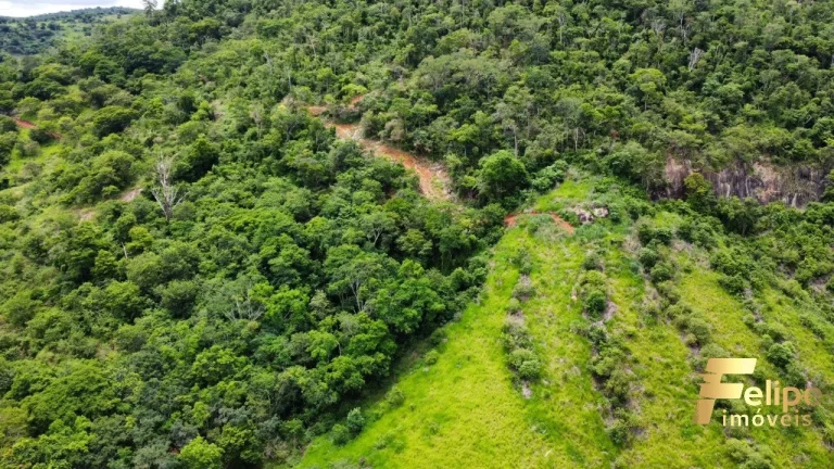 Imagem FAZENDA À VENDA A 60KM DE COLATINA / ES