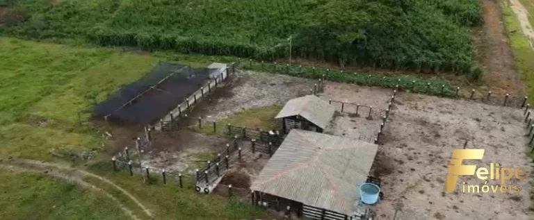 Imagem FAZENDA À VENDA EM TEIXEIRA DE FREITAS / BAHIA