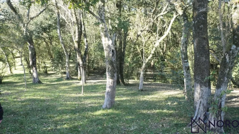 Imagem Lindíssima chácara, 2,1ha, acesso asfaltado, com sede, cocheiras, horta, pomar,