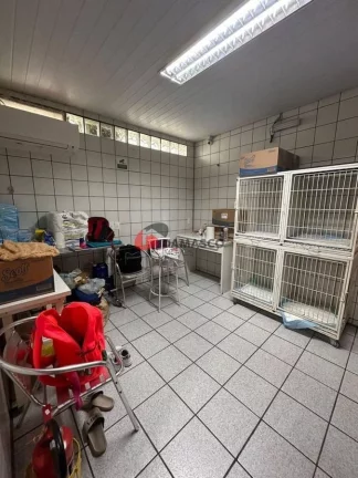 Imagem Casa para locação, Santa Maria, São Caetano do Sul, SP
