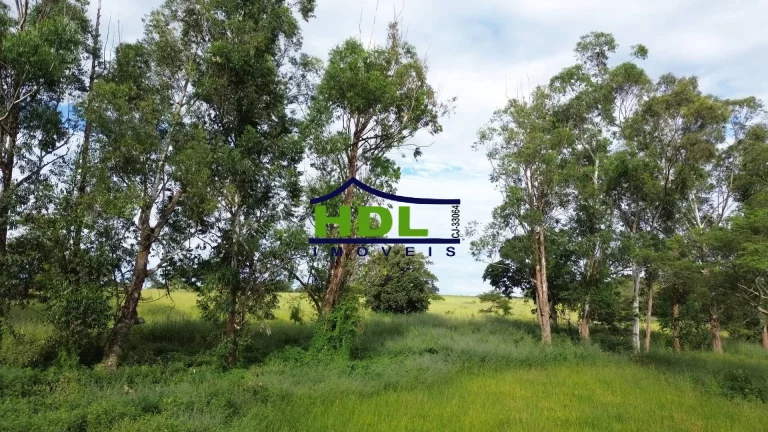 Imagem Fazenda 10 Alqs dupla aptidão em Hidrolândia