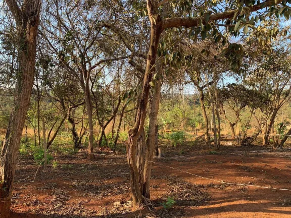 Imagem EXCELENTE LOTE DE 360 M²,BAIRRO SATÉLITE EM JUATUBA!