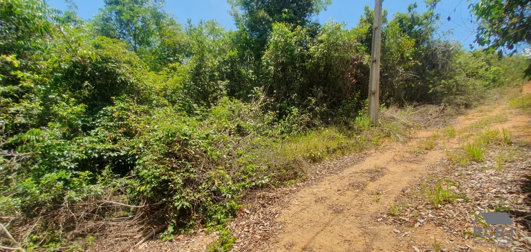 Imagem TERRENO RURAL em FORTUNA DE MINAS - MG, VITORINA PARK II