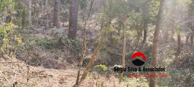 Imagem Terreno a Venda na Região do Alto da Boa Vista em Campos do Jordão -SP.