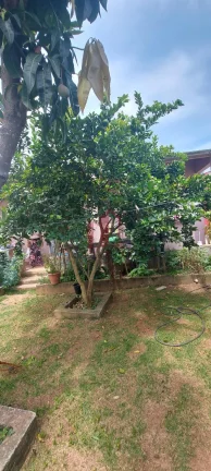 Imagem Casa Comercial à Venda em Franco da Rocha - Jardim Luiza: 1 Quarto, 1 Sala, 5 Vagas de Garagem e 180m² de Área.