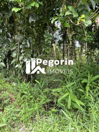 Imagem Terreno em Balneário Brandalize, Itapoá/SC