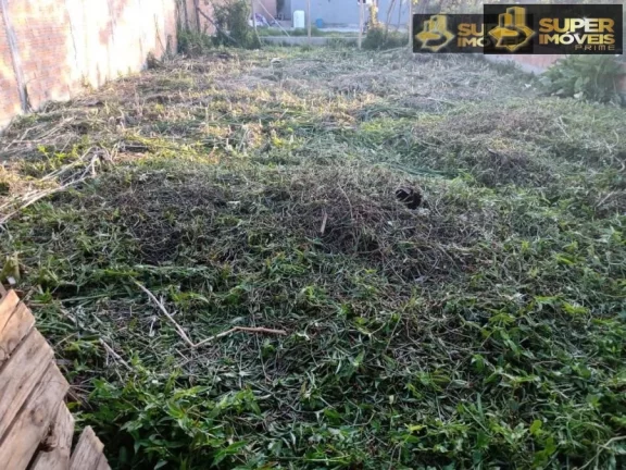 Imagem Ponto comercial Comercio para Venda em Areal Pelotas-RS - 23