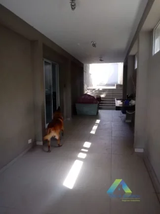 Imagem JARDIM DA SAÚDE CASA alto padrão, 640 metros, 4 dormitórios, 2 suítes, quintal 5 vagas ótima localização e valor !!!!