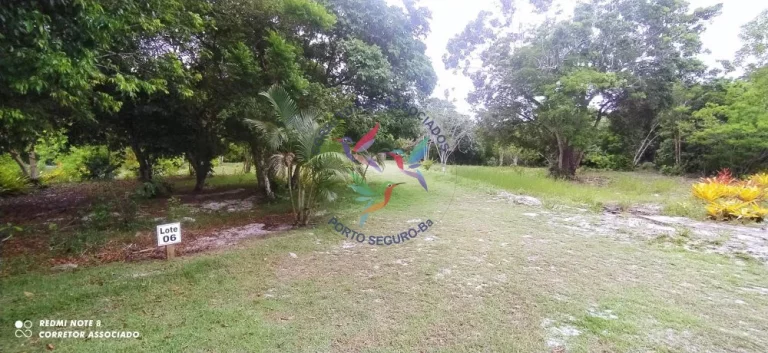 Imagem BELÍSSIMA ÁREA PARA CONDOMÍNIO EM SANTO ANDRÉ BAHIA