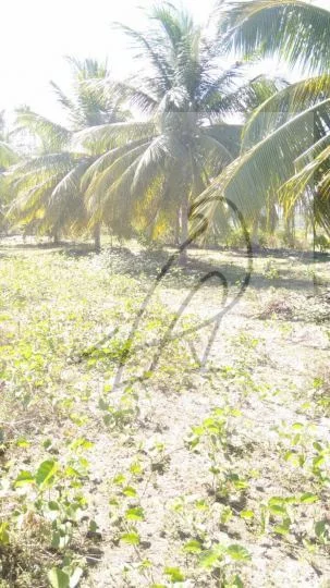 Imagem Terreno para Venda em Conde / BA no bairro Sítio do Conde - Conde-Ba