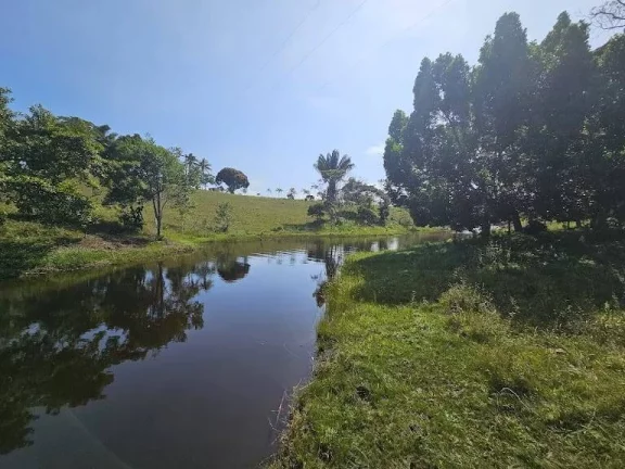 Imagem RESERVAS DO ESCONDIDO - MATA ATLÂNTICA