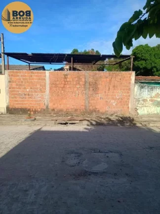 Terreno Padrão
