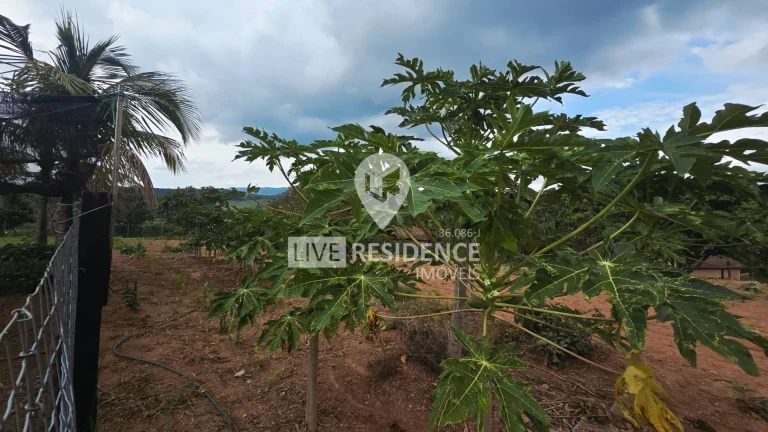 Imagem Sítio Campo dos Sonhos à venda no bairro Mato Dentro!