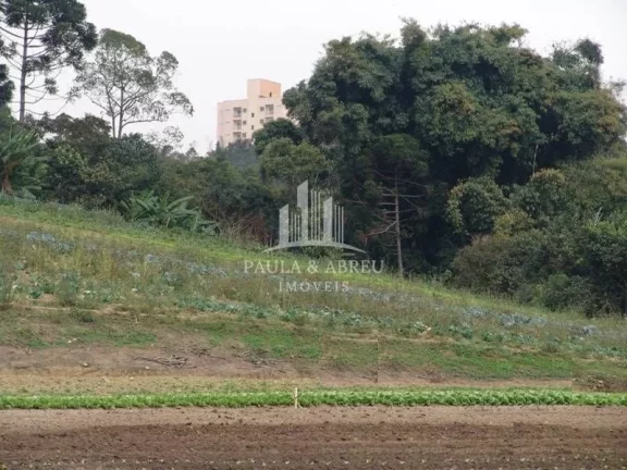 Imagem Terreno 26.000m² $852,00 om², Excelente topografia, Asfalto, na Vila Cristina, Ferraz de Vasconcelos-SP