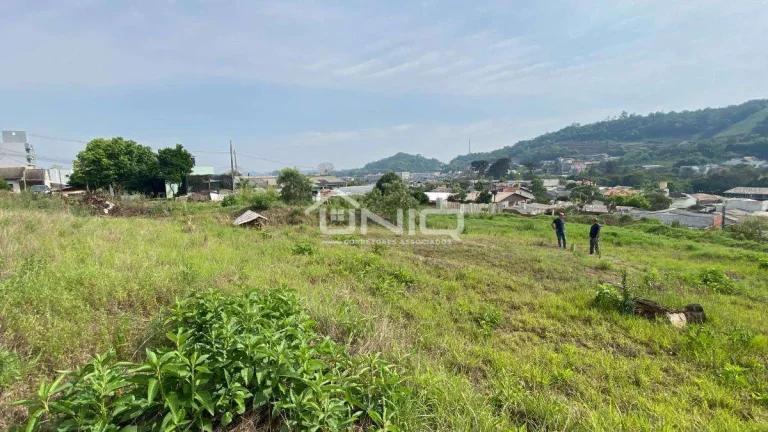 Imagem Terreno Urbano Francisco Beltrão