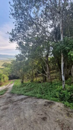 Imagem Terreno à Venda na Praia da Silveira em Garopaba-SC - Vista para a Lagoa da Ferrugem!